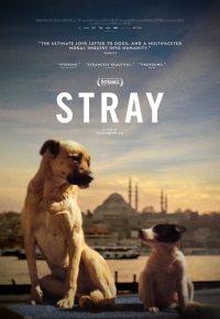 Stray (2020)